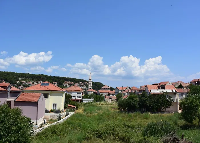 Grancic *